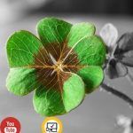 Как привлечь богатство и удачу? Как привлечь богатство и удачу?