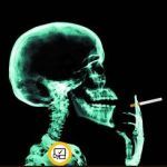 Профилактика вредных привычек кратко Профилактика вредных привычек кратко