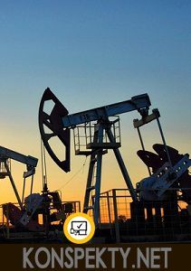 От чего зависит богатство страны? Человек и богатство страны От чего зависит богатство страны? Человек и богатство страны