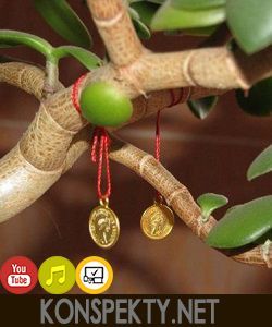 Как денежное дерево привлекает богатство? Как избавиться от неудач и безденежья? Как денежное дерево привлекает богатство? Как избавиться от неудач и безденежья?