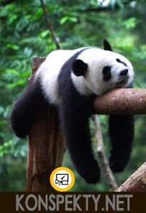 Как убрать лень из своей жизни? Как убрать лень из своей жизни?