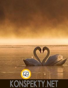 Великие слова великих людей про любовь Великие слова великих людей про любовь