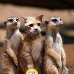 Как выразить свою индивидуальность? Как выразить свою индивидуальность?