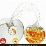 Как выйти из зоны комфорта? И что значит выйти из зоны комфорта? Как выйти из зоны комфорта? И что значит выйти из зоны комфорта?